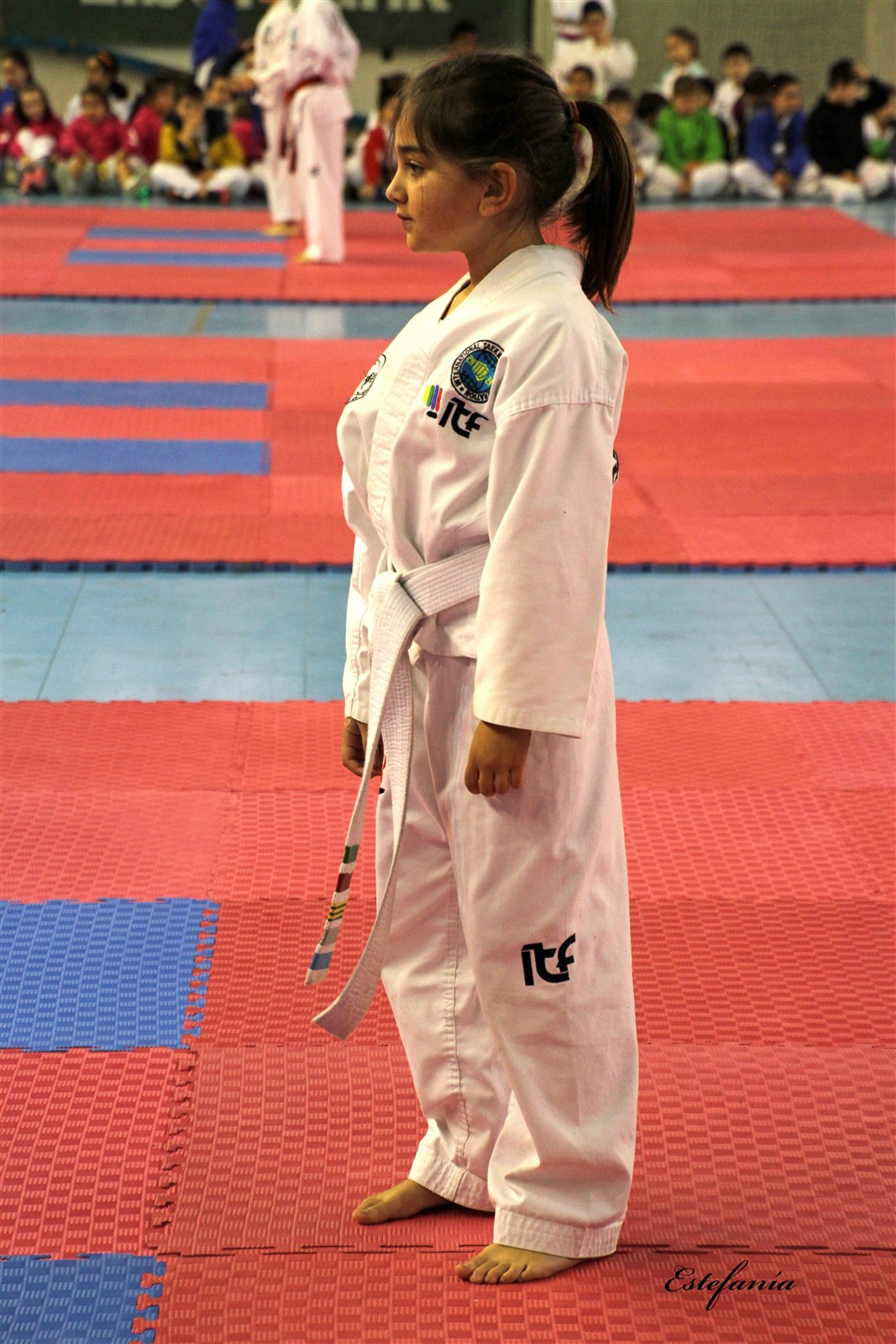 Taekwondo (178).jpg